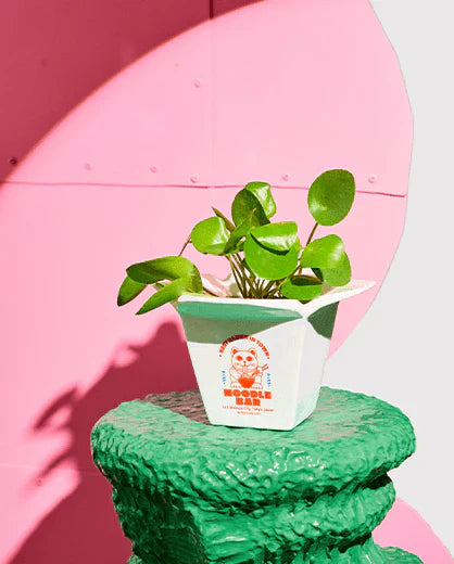 Cache pots